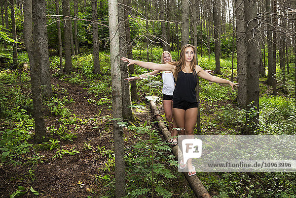 'Two teenage girlfriends balancing on a fallen log in the forest in a park; Edmonton  Alberta  Canada'