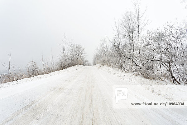 'Road during winter blizzard; Caledon  Ontario  Canada'