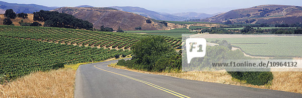 Eine Straße schlängelt sich im Frühsommer durch einen Flickenteppich von Weinbergen im Santa Ynez Valley  dahinter Berge und blauer Himmel; Buellton  Kalifornien  Vereinigte Staaten von Amerika'.