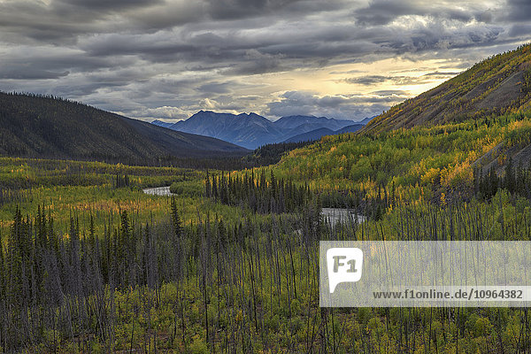 'The trees changing colour as summer gives way to autumn along the South Canol Road and a view of Lapie River; Yukon Canada'