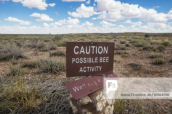 Warnschild zur Bienenaktivität  Khalagadi Transfrontier Park  Aucherlonie Museum; Südafrika'.