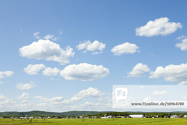 Bebautes Feld  Bauernhof im Hintergrund; Quebec  Kanada'.