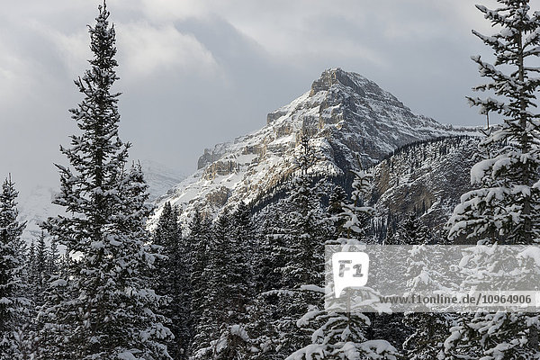 'Rugged mountain peak with snow under a cloudy sky; Lake Louise  Alberta  Canada'