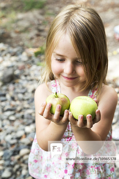 Junges Mädchen mit frischen grünen Äpfeln; Salmon Arm  British Columbia Kanada