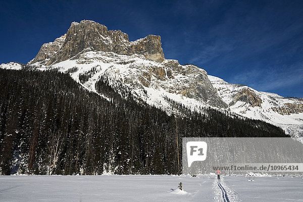 'Cross country skiing in Yoho National Park; Field  British Columbia  Canada'