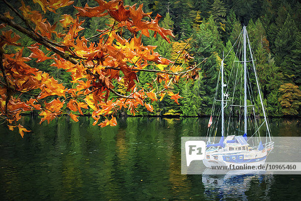 Ein blau-weißes Segelboot liegt im Herbst vor Anker in der Nähe des Gowlland Tod Provincial Park, auf der Rückseite der Butchart Gardens, in der Nähe von Victoria; Vancouver Island, British Columbia, Kanada'.