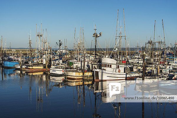 Fischerboote in einem Hafen; Westport  Washington  Vereinigte Staaten von Amerika'.