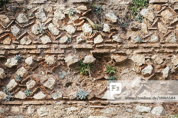 Alte Steinmauer mit darauf wachsenden Pflanzen; Delphi  Griechenland'.