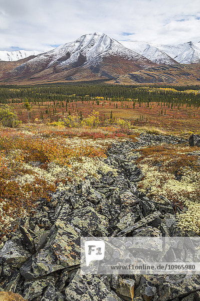'The landscape along the Dempster Highway is alive with autumn colours; Yukon  Canada'