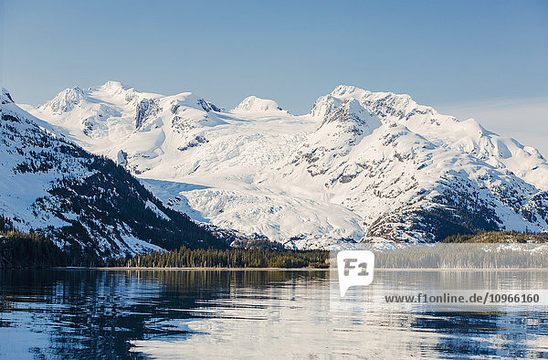 'A glacier sits in the valley of snow covered mountains above hillsides of evergreen trees in Kings Bay  Prince William Sound; Whittier  Alaska  United States of America'