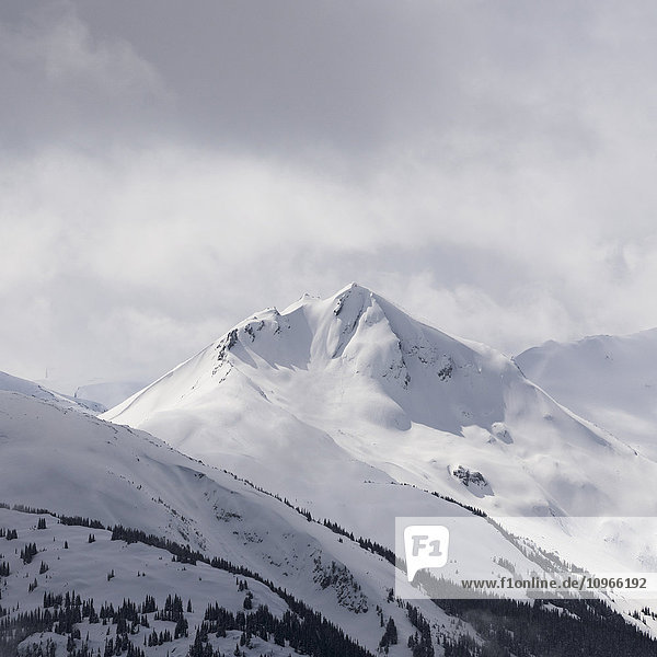 Schneebedeckter Berggipfel; Whistler  British Columbia  Kanada'.