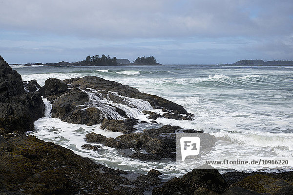 Wellen spülen über Felsen und Wellen entlang der Küstenlinie unter einem bewölkten Himmel; Tofino  British Columbia  Kanada