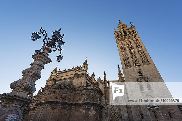 'Seville Cathedral; Seville  Andalusia  Spain'
