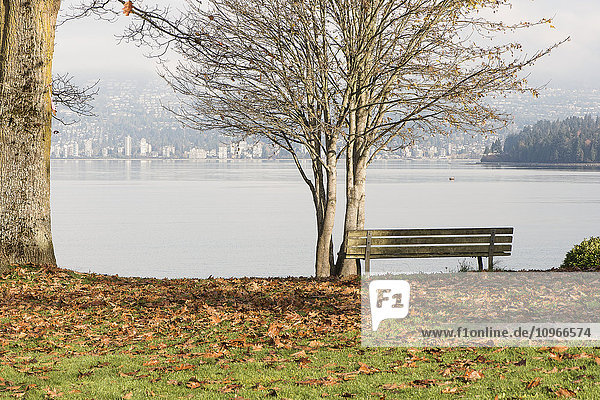 Ein Herbsttag mit Blick auf das Stadtzentrum von Vancouver vom Kitsilano Beach aus; Vancouver  British Columbia  Kanada'.