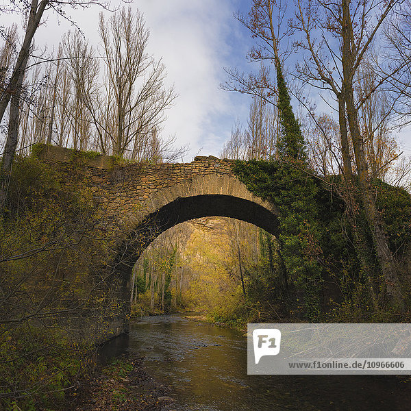 'Medieval bridge called Puente de Santa Maria on the River Cidacos  in the village of Yanguas; Soria  Spain'