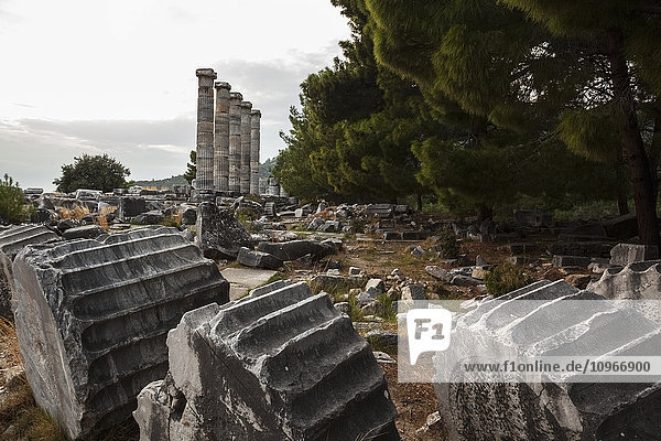 'Ruins of the Sanctuary of Athena; Priene  Turkey'