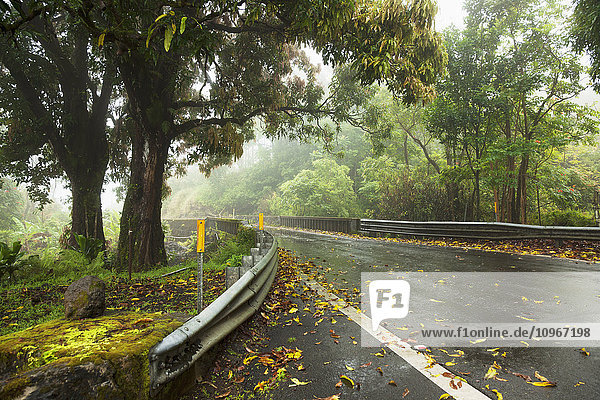 Die Straße nach Hana im Regen; Maui  Hawaii  Vereinigte Staaten von Amerika'.