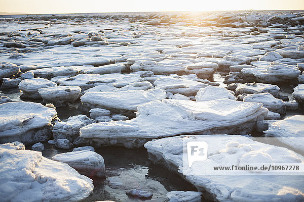 Ice chunks on a beach in Homer  Southcentral Alaska