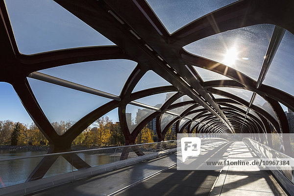 Interessante Silhouette einer zylindrischen Brücke mit Sonnenschliff und Bäumen und Gebäuden im Hintergrund; Calgary  Alberta  Kanada