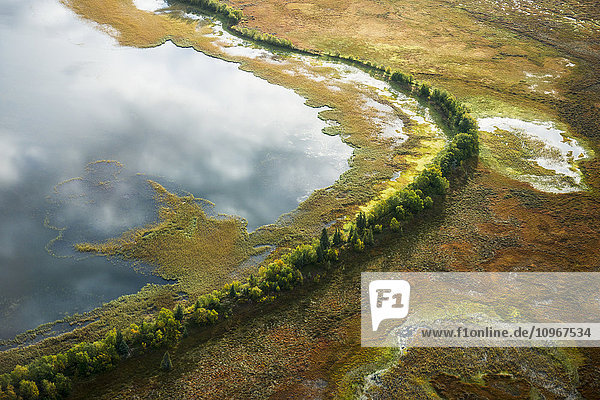 Aerial of a wall of trees that separate a lake and wetlands in the Kvichak River drainage  Bristol Bay region  Southwest Alaska