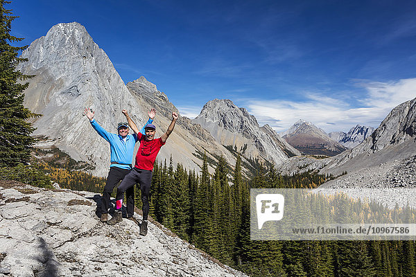 'Two male hikers with arms raised in the air on rock ridge overlooking alpine valley with colourful larch trees in autumn and rocky peaks with blue sky and clouds  Kananaskis Provincial Park; Alberta  Canada'