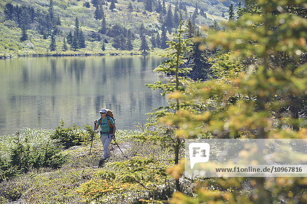 Rucksacktouristin wandert entlang des Upper Fuller Lake im Kenai National Wildlife Refuge auf der Kenai-Halbinsel in Süd-Zentral-Alaska