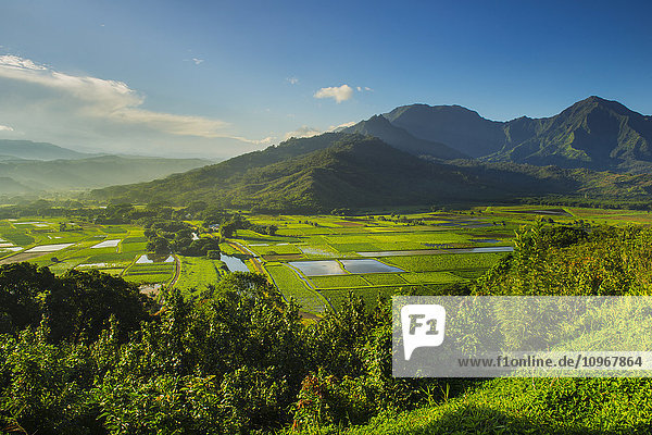 Der Hanalei Lookout bietet einen Blick auf die Taro-Plantagen auf Kauai  wo der meiste Taro auf Hawaii angebaut wird; Kauai  Hawaii  Vereinigte Staaten von Amerika'.