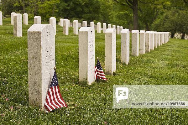 Reihen von Grabsteinen auf dem Arlington National Cemetery; Arlington  Virginia  Vereinigte Staaten von Amerika'.