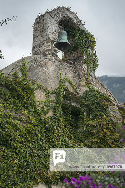 Eine grüne Glocke in einer Nische über einer mit Weinreben bewachsenen Mauer; Laurito  Kampanien  Italien'.