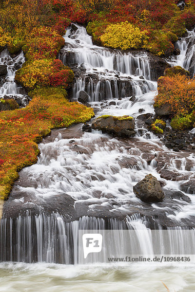 Hraunfossar-Wasserfälle und Herbstfarben; Island'.