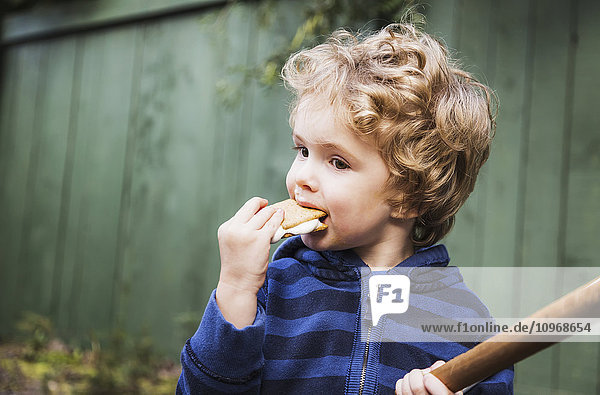 'Young boy eating a s'more outdoors and getting sticky; St. Albert  Alberta  Canada'