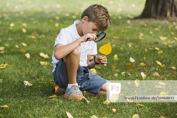 'A young boy using a magnifying glass in a park; Edmonton  Alberta  Canada'