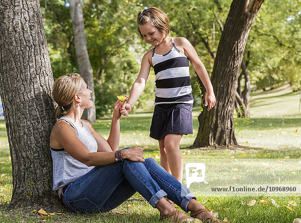 'Mother getting a flower from her daughter while spending quality time at a park during a family outing; Edmonton  Alberta  Canada'