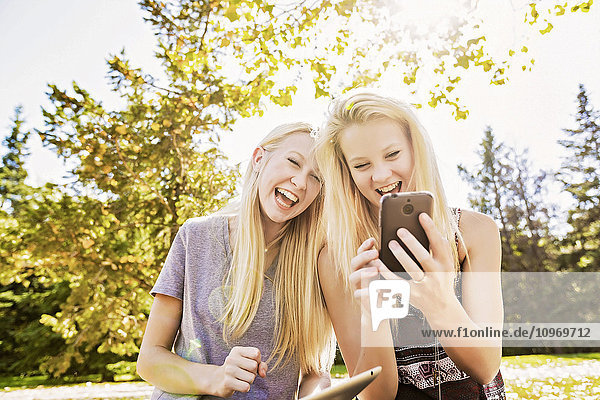 Zwei Schwestern  die sich im Herbst in einem Stadtpark vergnügen und auf ihrem Smartphone und Tablet die sozialen Medien nutzen; Edmonton  Alberta  Kanada'.