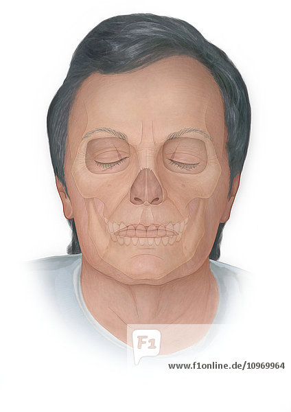Front view of normal elderly face with a skull phantomed behind
