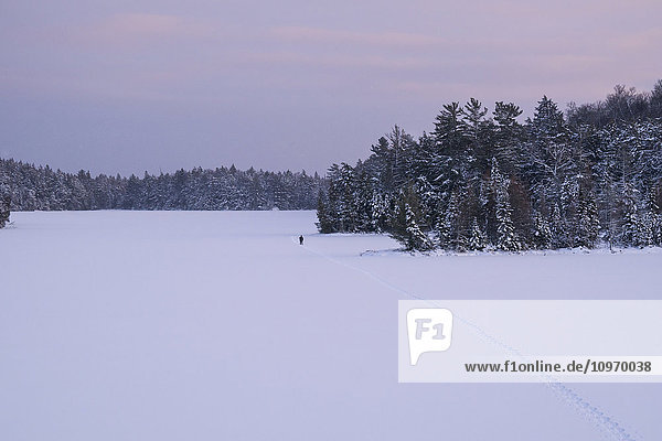Schneeschuhwanderung über einen zugefrorenen  schneebedeckten See; Ontario  Kanada'.