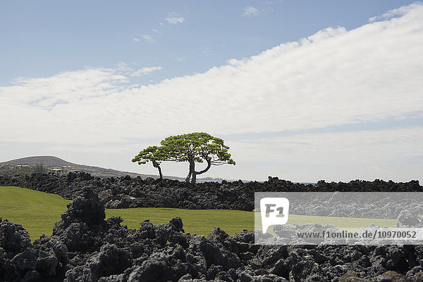 Blick über den Mauna Launi Golfplatz; Mauna Launi  Insel Hawaii  Hawaii  Vereinigte Staaten von Amerika'.