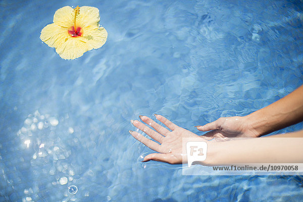 Hände ins Wasser tauchen mit einer schwimmenden Blume; Insel Hawaii  Hawaii  Vereinigte Staaten von Amerika'.
