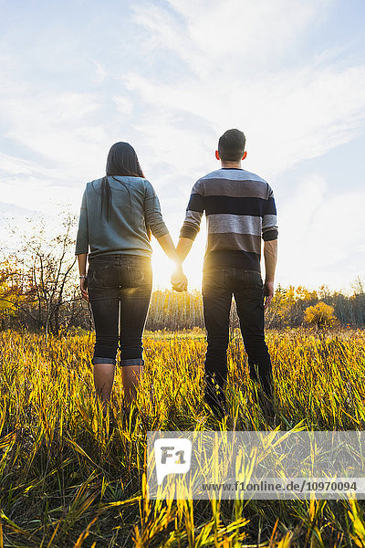 'A young Asian couple enjoying quality time together outdoors in a park in autumn and holding hands in the warmth of the sunlight during the early evening; Edmonton  Alberta  Canada'