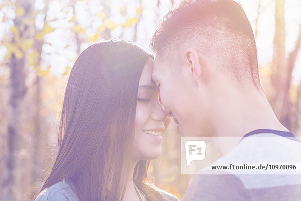 'A young Asian couple enjoying quality time together outdoors in a park in autumn and touching their foreheads together affectionately in the warmth of the evening sun; Edmonton  Alberta  Canada'