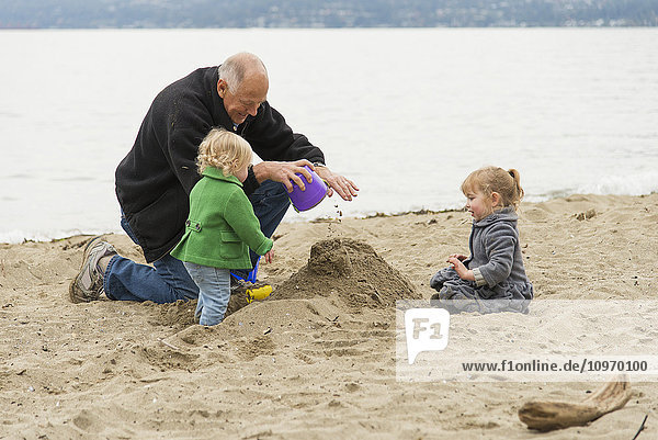 Bei kaltem Wetter spielt ein Großvater mit seinen beiden Enkeltöchtern am Strand des Stanley Park; Vancouver  British Columbia  Kanada'.
