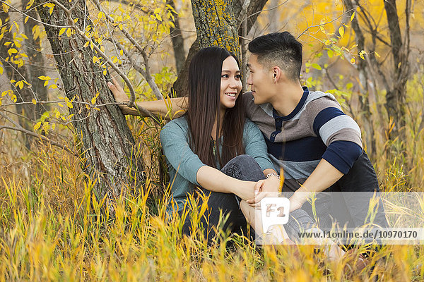 'A young Asian couple enjoying a romantic time together and sitting under a tree in a park in autumn; Edmonton  Alberta  Canada'