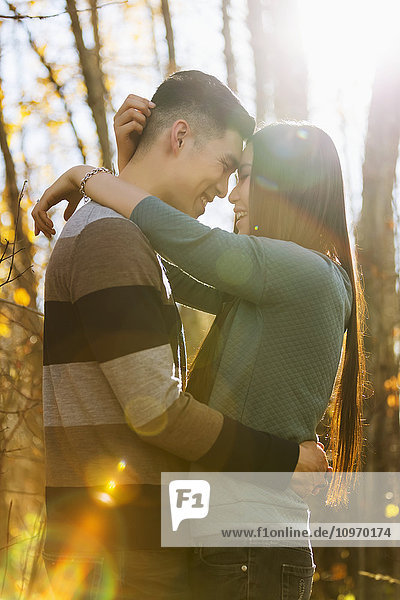 'A young Asian couple enjoying a romantic time together outdoors in a park in autumn and embracing each other in the warmth of the sunlight during the early evening; Edmonton  Alberta  Canada'