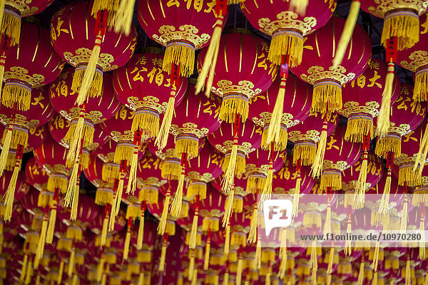 Laternen im Kek-Lok-Si-Tempel: Das chinesische Neujahrsfest wird in Malaysia mit Papierlaternen gefeiert  die in allen chinesischen Vierteln und Geschäften in Malaysia an Decken und Wänden aufgehängt werden; Georgetown  Penang  Malaysia'