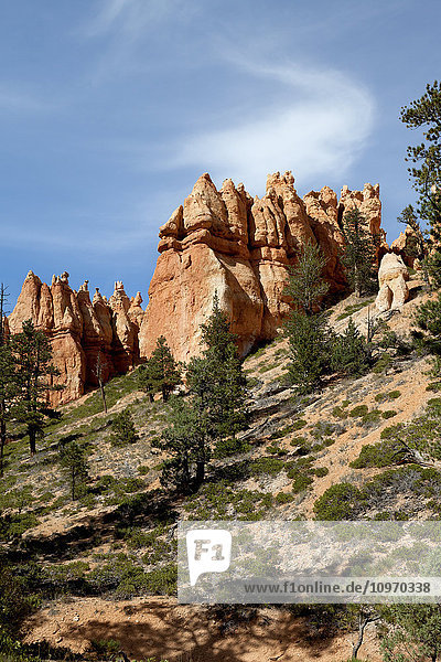 Hoodoos im Bryce Canyon National Park; Utah  Vereinigte Staaten von Amerika'.