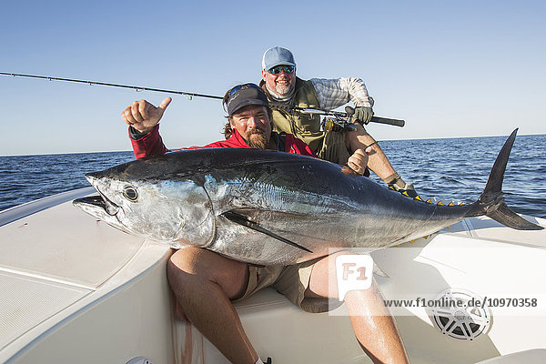 Fischer hält einen großen frischen Fisch  der von einem Boot auf dem Atlantik gefangen wurde; Cape Cod  Massachusetts  Vereinigte Staaten von Amerika'.