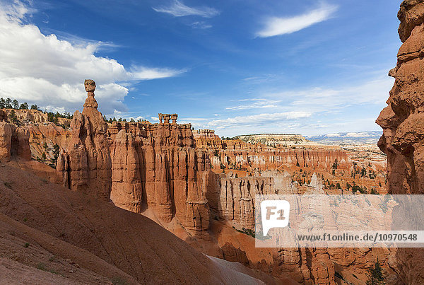 'Thor's Hammer  Bryce Canyon National Park; Utah  United States of America'