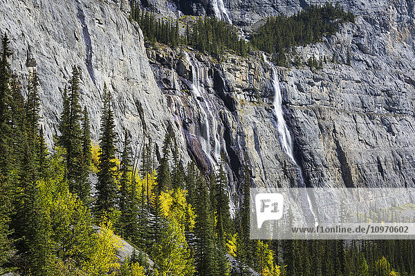 Trauernde Wand  Jasper National Park; Alberta  Kanada
