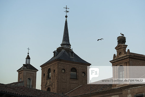 'A stork flying around Archbishop's Palace in downtown Alcala de Henares  a historical and charming city near to Madrid; Alcala de Henares  Spain'