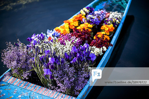 Blumen im Bug einer Shikara  einem kaschmirischen Kanu  werden von einem Blumenverkäufer verkauft  der von Boot zu Boot paddelt  um an Touristen und Hausbootbesitzer zu verkaufen; Srinagar  Kaschmir  Indien'.